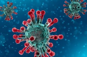 Koronavírus és hiedelmek