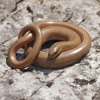 Magyarországi hüllőfajok / 7. Közönséges lábatlangyík (Anguis fragilis)